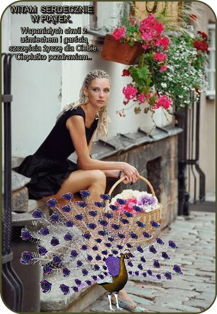 Paw z kolorowymi piórami pozdrawia w piątek